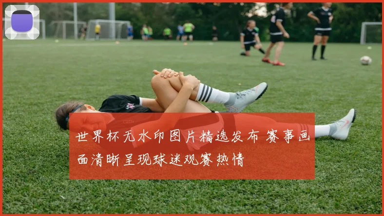 世界杯无水印图片精选发布 赛事画面清晰呈现球迷观赛热情