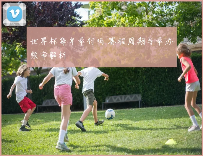 世界杯每年举行吗 赛程周期与举办频率解析